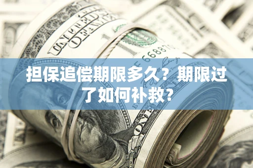 济南担保追偿期限多久？期限过了如何补救？